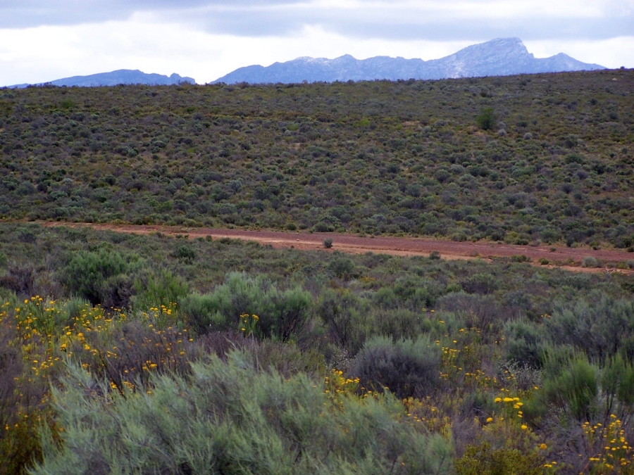 Commercial Property for Sale in Montagu Rural Western Cape